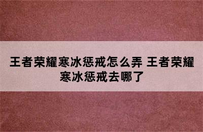 王者荣耀寒冰惩戒怎么弄 王者荣耀寒冰惩戒去哪了